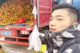 小伙来到水果批发市场，橘子价格几毛钱一斤；今年吃水果不愁了视频封面