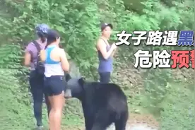 3名女子爬山时和黑熊狭路相逢，被熊抱视频封面