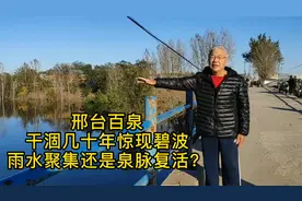 邢台百泉干涸几十年惊现碧波，雨水聚集还是泉脉复活？