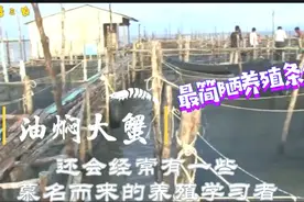 大海里养殖螃蟹，最简陋和最原始的养殖条件，能够产出最高效益！视频封面