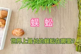 世界上最长的蜈蚣在哪里？这种蜈蚣十分歹毒，毒腺内分泌大量毒液视频封面