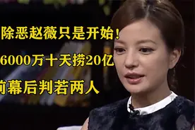 扫黑除恶赵薇只是开始！投资6000万十天捞20亿，台前幕后判若两人视频封面