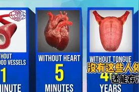 缺失这些人体器官还能存活多久