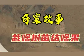 奇案故事之栽啥树苗结啥果