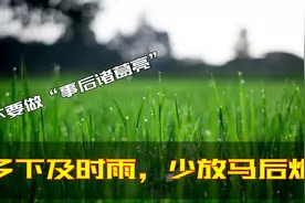 俗语：多下及时雨，少放马后炮，啥意思？不要做“事后诸葛亮”视频封面