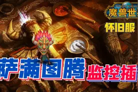 【魔兽世界怀旧服】奶妈必备 萨满图腾插件推荐视频封面