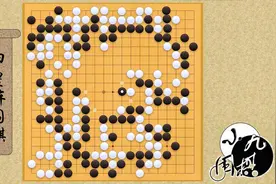 世界人工智能围棋大赛 一个局部的反杀感受AI的恐怖视频封面