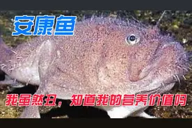 安康鱼虽然丑，营养价值有哪些；对人身体健康有哪些益处视频封面