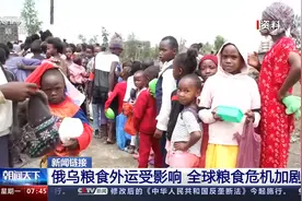 俄乌粮食外运受影响 全球粮食危机加剧视频封面