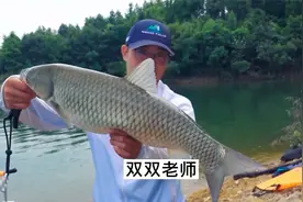 5月野钓，率先抢下这些钓位，下竿惊喜不断，10多斤大鱼频出！视频封面