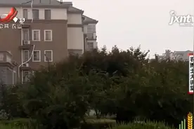 牡丹花石榴坐果少，但是花量多花型大，是一种珍惜花树品种视频封面