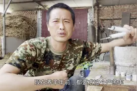 母羊产后消炎一定要做好，方法用对是关键，不然一年等于白养视频封面