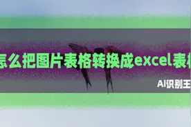 怎么把图片表格转换成excel表格？方法在这视频封面