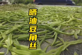 农村夏天最好过，油豆角可劲摘，吃不过来就切丝晒，东北独有特产视频封面