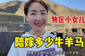 新疆牧区姑娘结婚陪嫁多少牛羊马？哈萨克妈妈扬言开大卡车来接视频封面