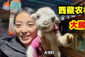 真实的西藏农村生活如何？卓玛一家换新窗帘，藏族都住上了大房子视频封面