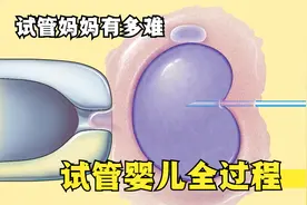 揭秘试管婴儿全过程，试管妈妈，生个孩子有多难视频封面
