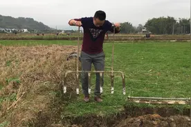 原来马蹄是这样挖出来的，农村小伙越挖越开心，你见过吗？视频封面
