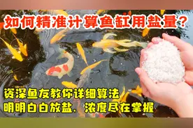如何精准计算鱼缸用盐量？资深鱼友教你详细算法，浓度尽在掌握