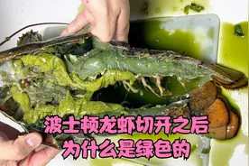 市场买的波士顿龙虾，一刀下去直接傻眼了视频封面