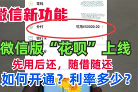 微信新功能“花呗”来了，分付先用后还，怎么开通？利息高不高？视频封面