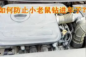 如何防止小动物钻进车子？这几点做好不再怕有老鼠等，新手要学会视频封面