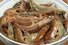 这才是大虾好吃到舔手指的做法，出锅蒜香浓郁又入味，营养解馋视频封面