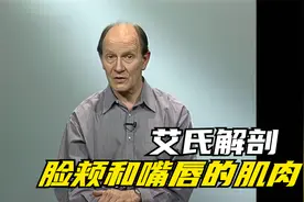 艾氏解剖｜脸颊和嘴唇的肌肉