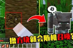 我的世界：撸方块随机掉落生物，召唤出这种大哥还怎么生存！