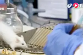 德国研究人员：年龄增长嗅觉下降有原因，系干细胞分化导致视频封面