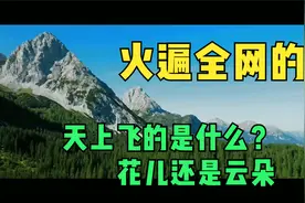 “天上飞的是什么，鸟儿还是云朵”火遍全网的一首完整版天籁之爱视频封面