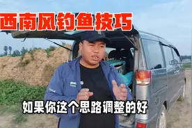 刮西南风如何钓好鱼？分享三个正确的选择，助你野钓连竿爆护视频封面