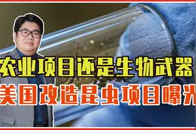农业项目还是研制生物武器？美国改造昆虫项目曝光，必须高度警惕视频封面