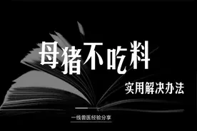 母猪体温正常，就是顽固不吃？听听十余年一线兽医的解决思路视频封面