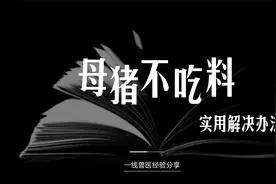 母猪体温正常，就是顽固不吃？听听十余年一线兽医的解决思路视频封面