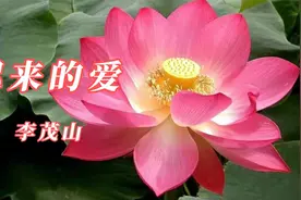 《迟来的爱》作词：吕承明   作曲：刘明瑞   演唱：李茂山