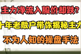 A股：主力资金净流入股价却下跌？学会这几点，3分钟让你看透主力视频封面