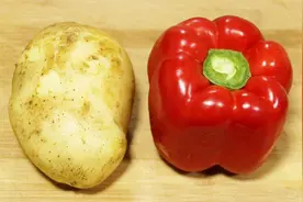 1个土豆，1个菜椒，简单一做，颜色好看食欲，下饭又解馋，太香了视频封面