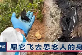 MU5735事故现场出现黑蝴蝶，拍摄者发声：想起了那个蝴蝶结女孩视频封面