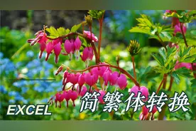 Excel基础知识（51）：工作表内容的简繁体转换，就是这么Easy！视频封面