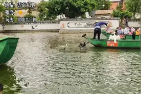 中山出发自驾云南 大理的半日游可以这么玩呀 PART2