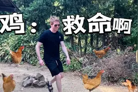 带英国老公去我长大的农村，结果他追着鸡满村跑视频封面