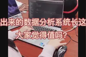 公司招的00后新人，一周做出销售数据分析系统，年薪20万真没白给视频封面