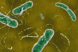 幽门螺旋杆菌有哪些检测方法？要多少钱？医生告诉你