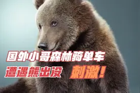 外国小哥独自森林骑单车遭遇狗熊袭击，演绎人熊赛跑，真是刺激！视频封面