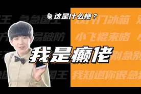 这是什么梗：我是癫佬视频封面