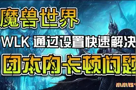 魔兽世界怀旧服  WLK  80级  通过设置快速解决团本内卡顿问题