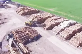 日本为了环保从不砍伐森林，木材从中国进口，事实真的如此吗？视频封面