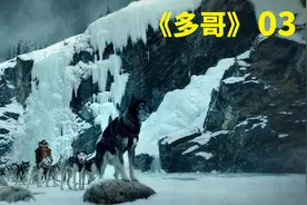 真实故事改编二哈辉煌祖先多哥