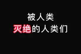 地球上同时存在六个种族的人类视频封面